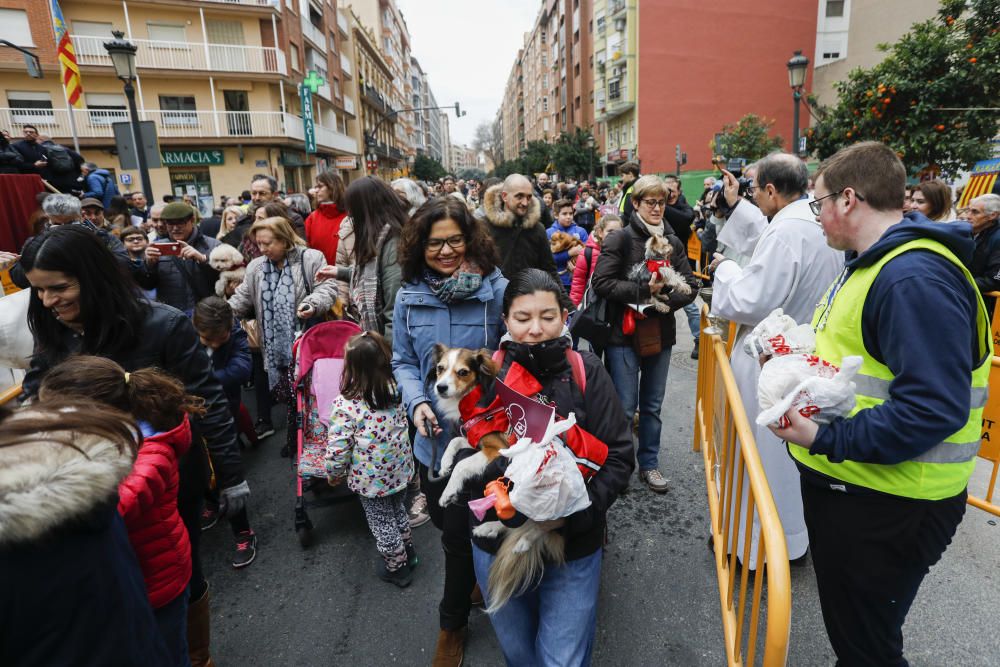 Festividad de Sant Antoni en València