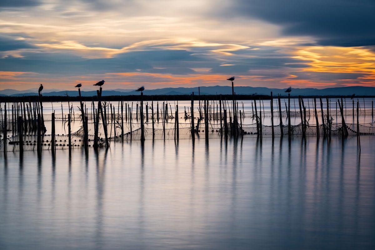 La Albufera, en Valencia, se ha puesto de moda nuevamente tras la serie de El Embarcadero. Sus atardeceres son espectaculares y es una excursión imprescindible para los que visiten la ciudad del Turia