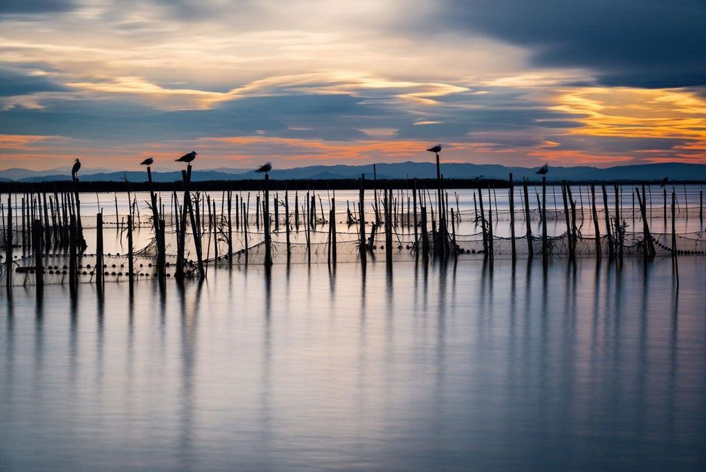 La Albufera, en Valencia, se ha puesto de moda nuevamente tras la serie de El Embarcadero. Sus atardeceres son espectaculares y es una excursión imprescindible para los que visiten la ciudad del Turia