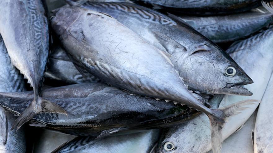 El consumo de pescado puede disminuir el riesgo  de depresión