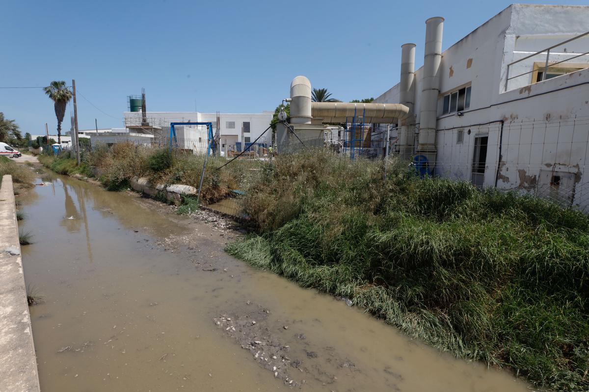 Foto de archivo de un vertido de aguas fecales en sa Llavanera.