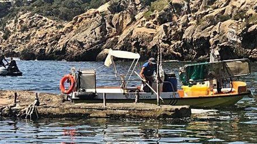 Una de las barcas de Eivissa, en una jornada de servicio.