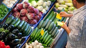 La crisi del cogombre es va estendre a altres productes: pebrots, tomàquets i carbassons.