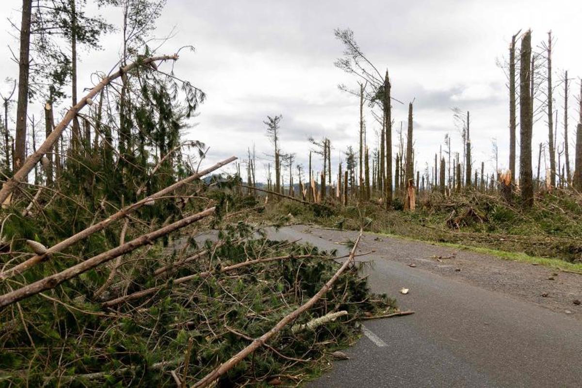 Las mejores imágenes del ciclón Gabrielle en Auckland, Nueva Zelanda