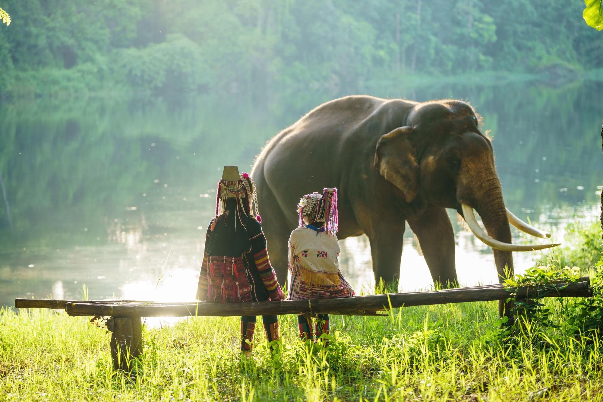 The two hill tribe women sat and talked on the wooden beams that made the seat, and the elephants were eating grass in the background.