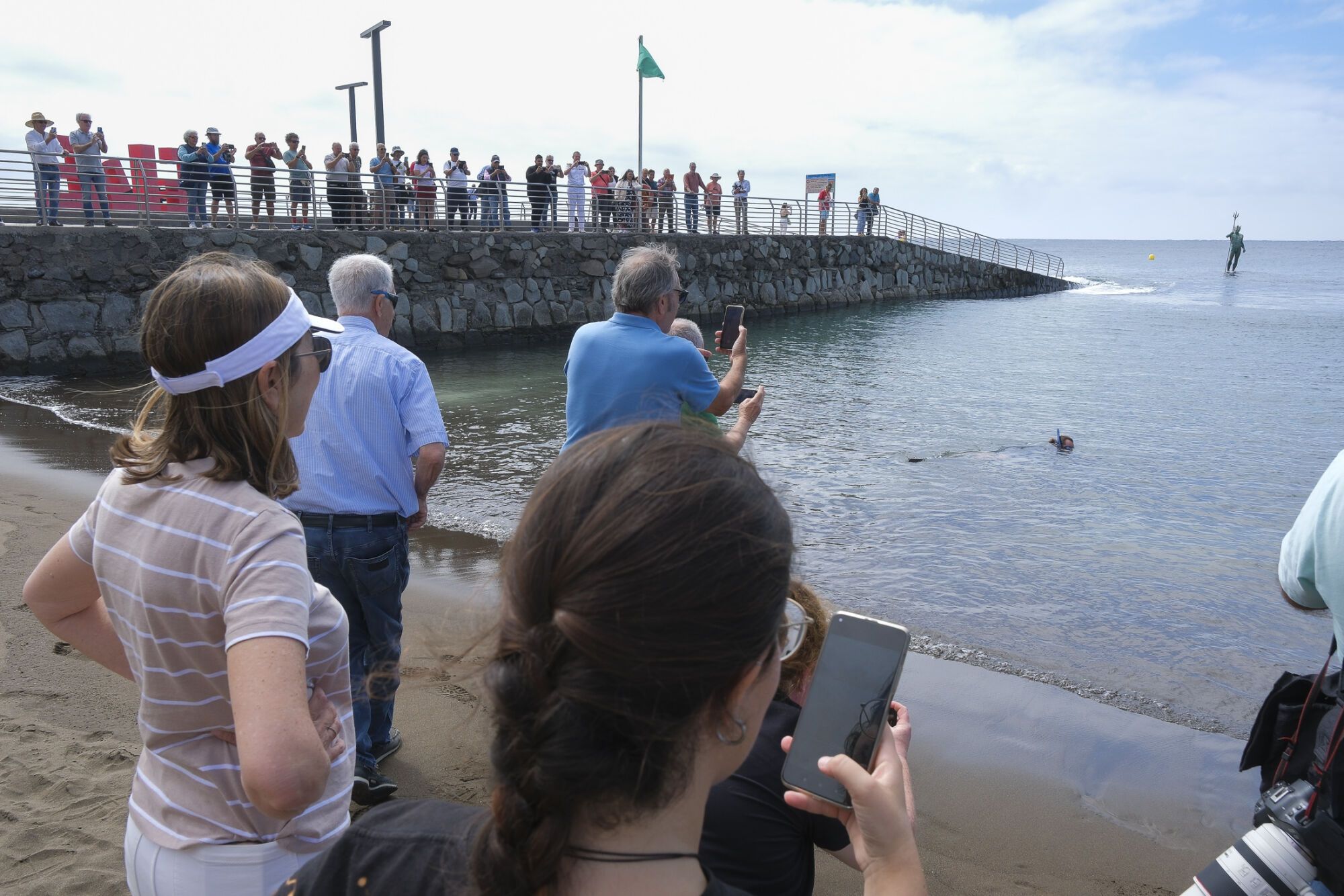 Liberan una tortuga en Telde