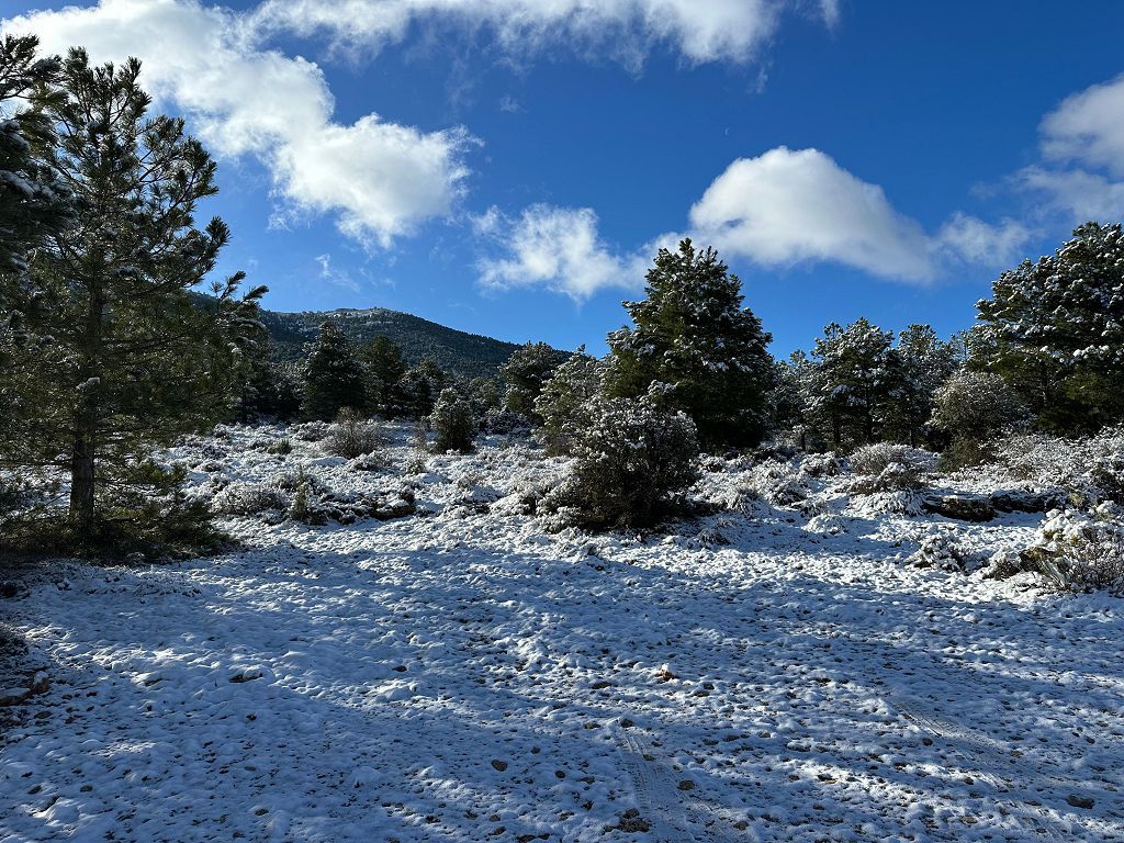 La nieve cumbra el techo de la Región en Cañada de la Cruz, Moratalla