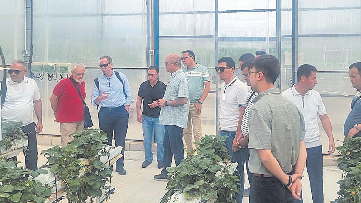 Visita de la delegación de Uzbekistán a las plantaciones de la Región.