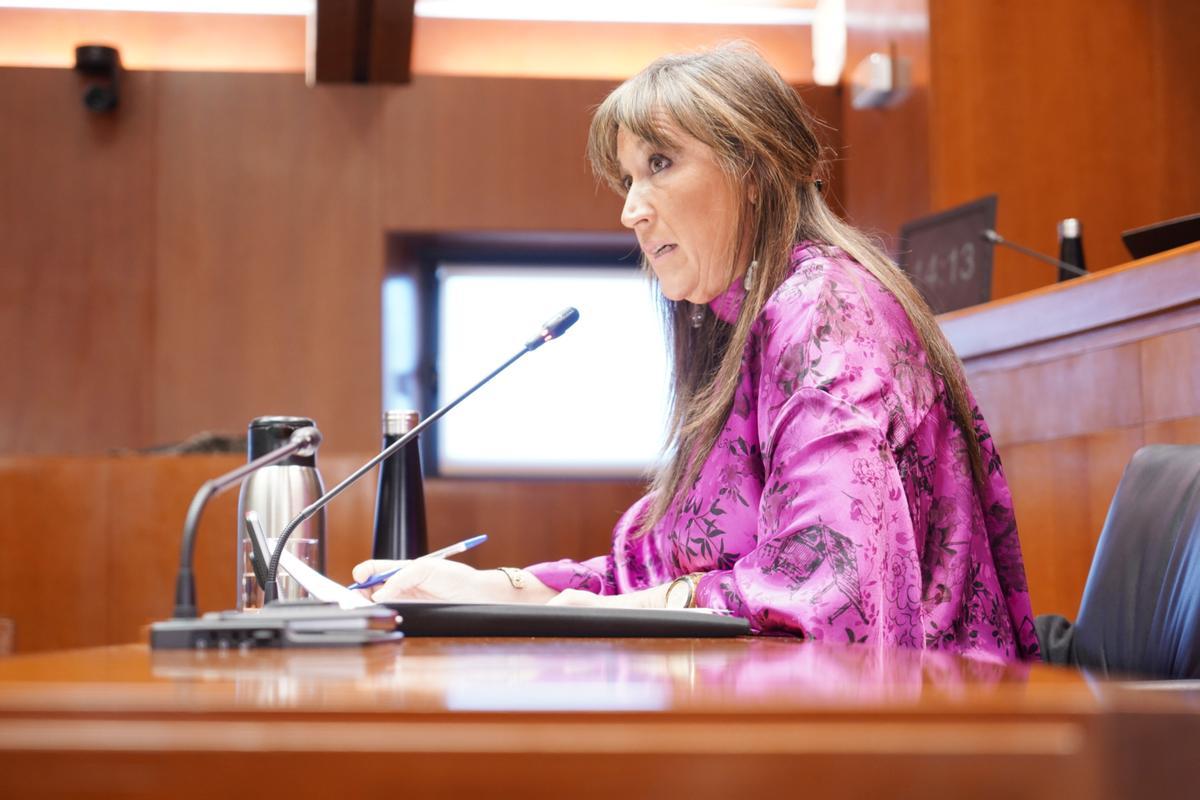 La consejera de Sanidad, Sira Repollés, durante su intervención en las Cortes este jueves.