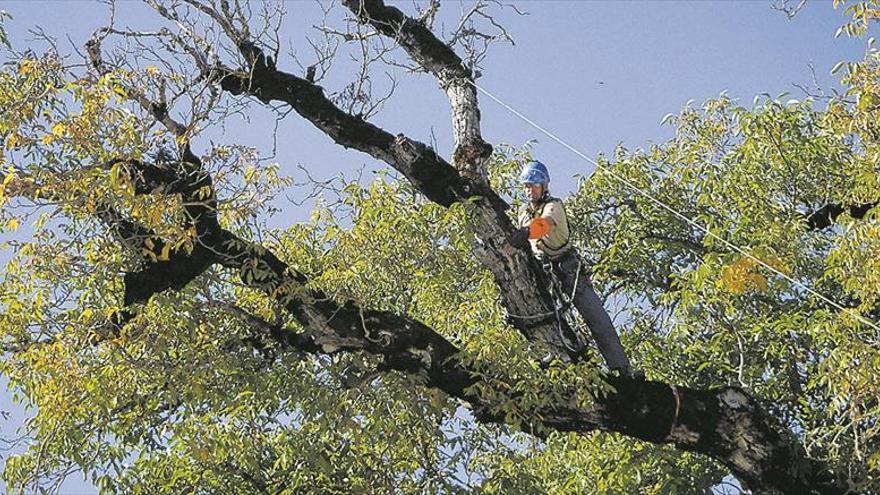 Especialistes ambientals per a protegir les altures