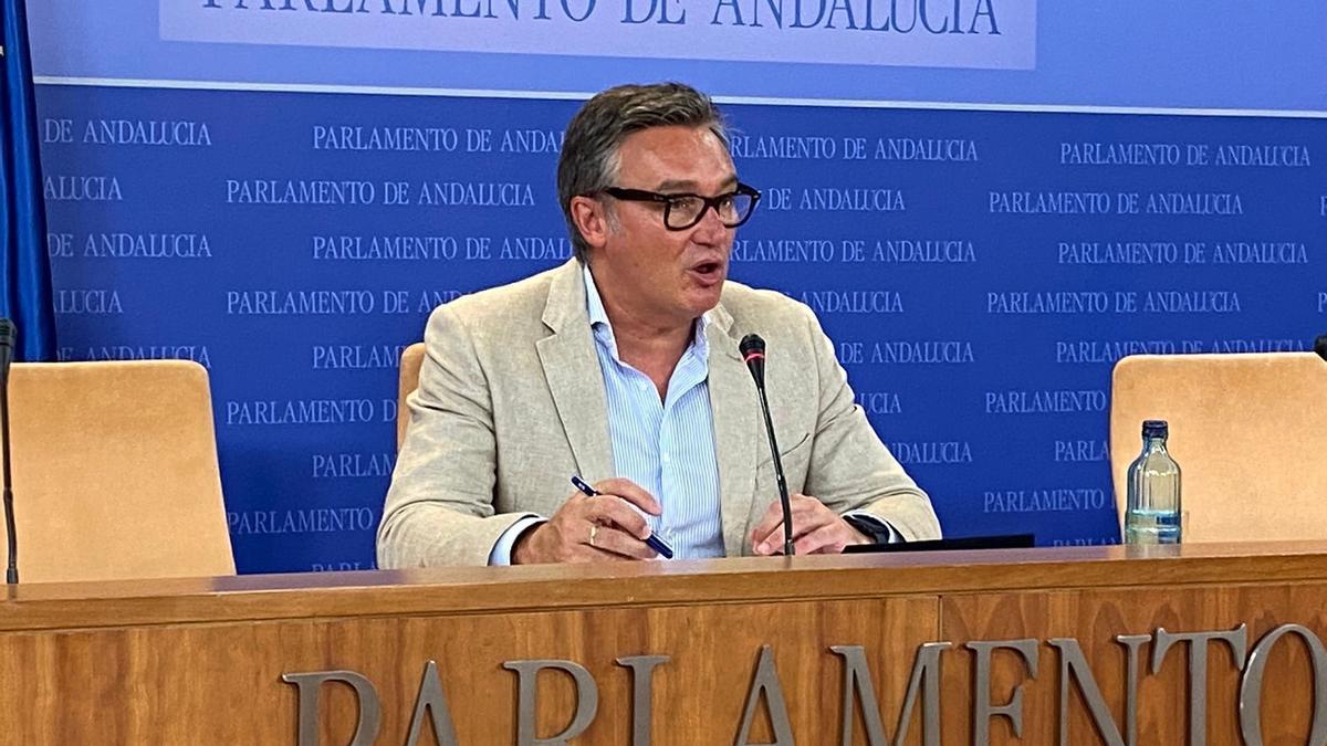 Manuel Gavira, portavoz de Vox.