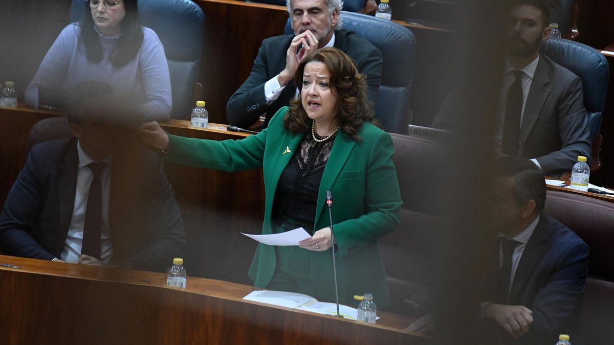 La consejera de Sanidad de la Comunidad de Madrid, Fátima Matute, en la Asamblea.