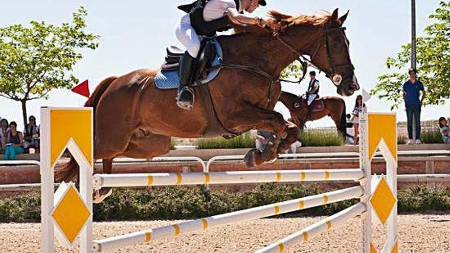 Imagen de una competición anterior en Equus Duri.