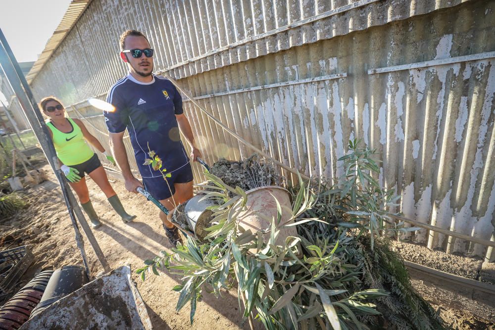 Los ángeles de la guarda de la Vega