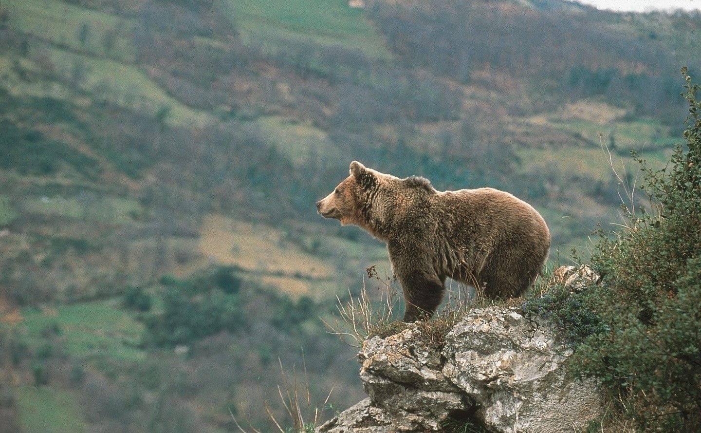 Asturias, paraíso para ecoturistas