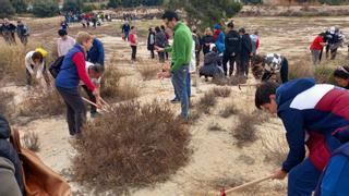 Jornada de reforestación para regenerar el paraje de La Coix de Sant Joan