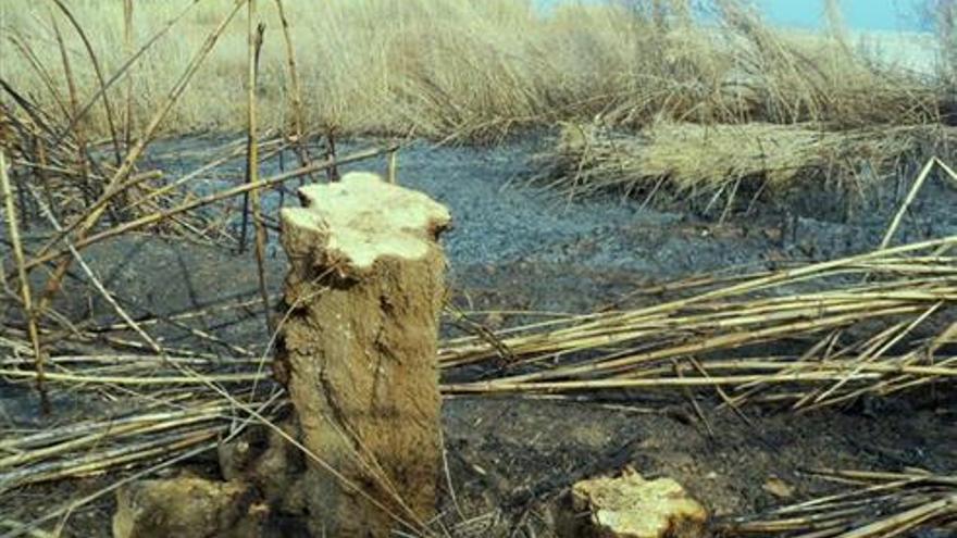 Agricutura levanta la prohibición de hacer quemas