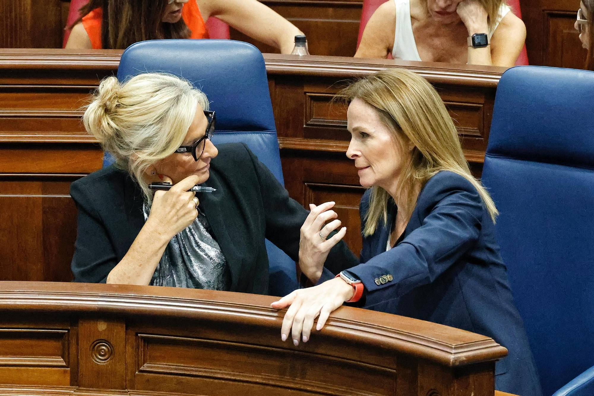 Pleno del Parlamento de Canarias