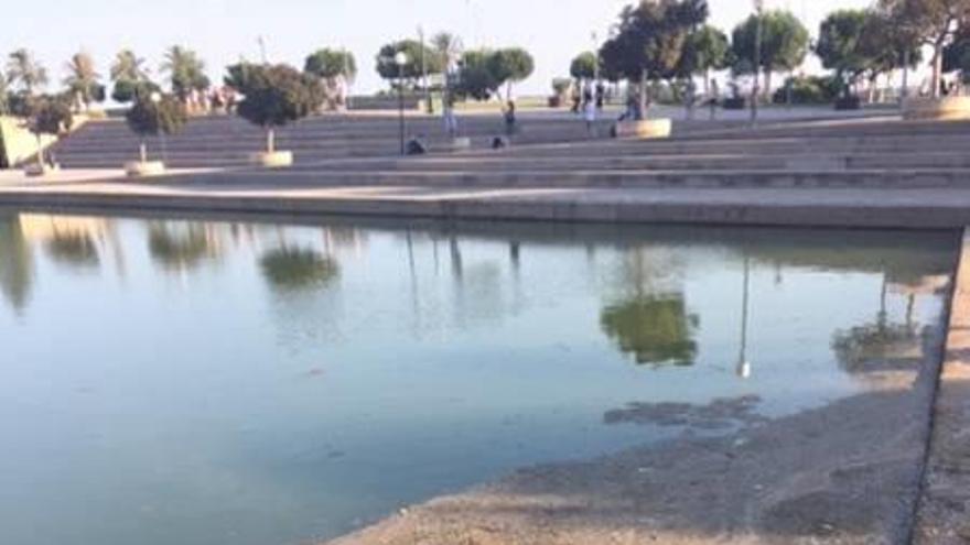 Algas pardas y desperdicios en la zona más frecuentada del parque.