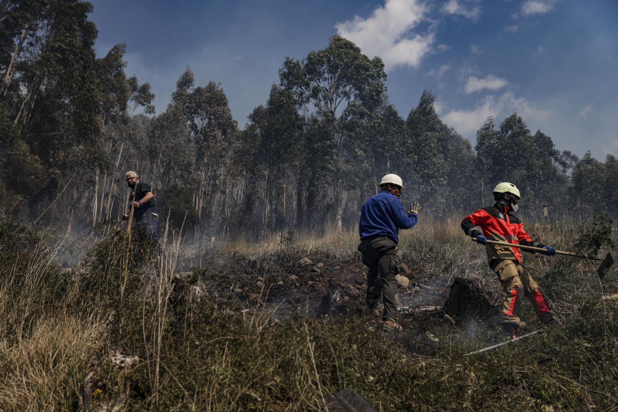 La lucha contra las llamas en el monte Naranco