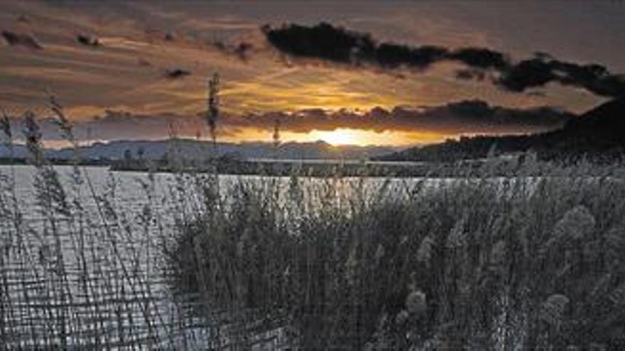 La Marjal d’Almenara,  un mosaic de paisatges Ruta de natura en família