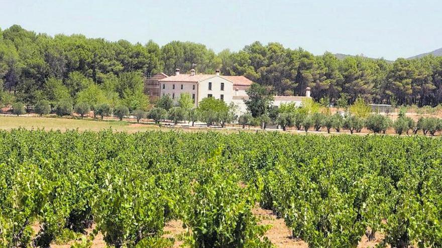 DO Valencia, vinos de calidad conmarcado carácter mediterráneo