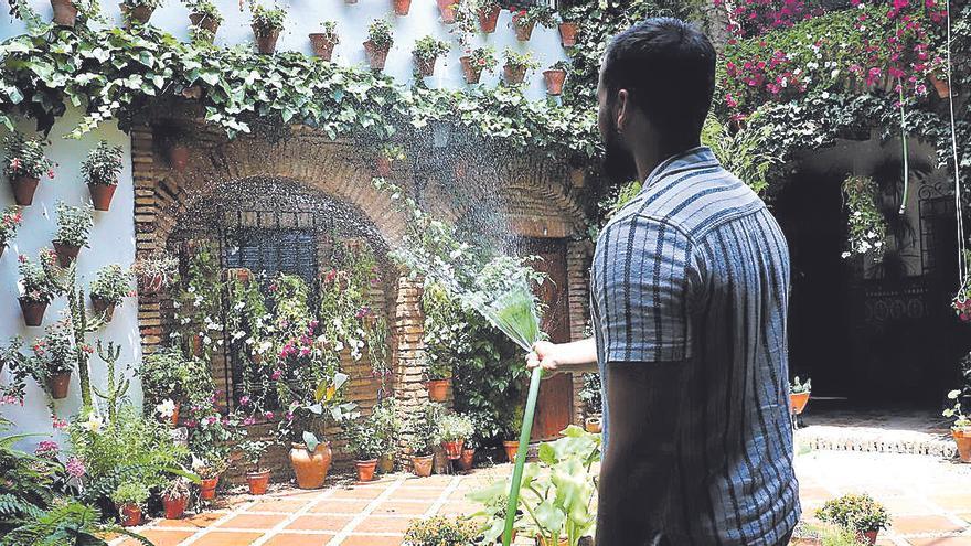 El patio requiere un esfuerzo diario y los riegos en Agustín Moreno 43 son un trabajo esencial.