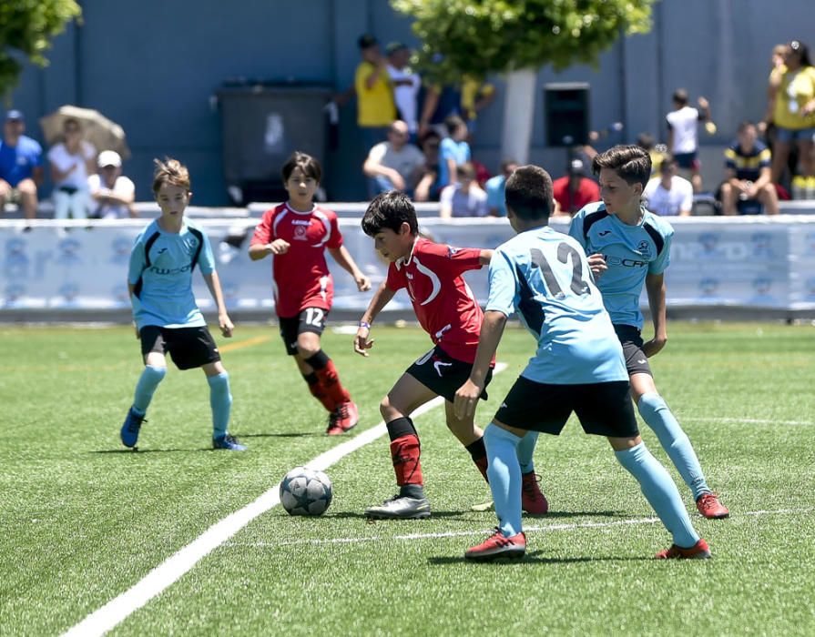 Partidos del Torneo Alevín en Maspalomas