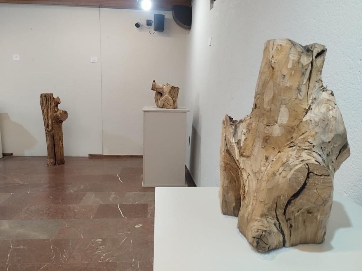 Piezas de la muestra "La Noceda".