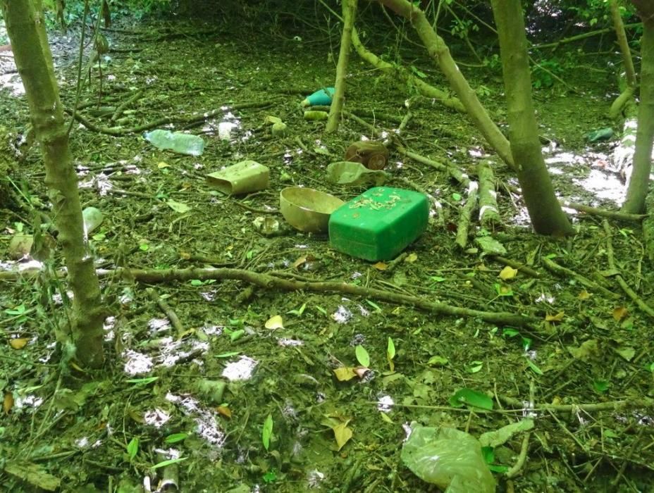 Neteja del bosc de Can Salvatella