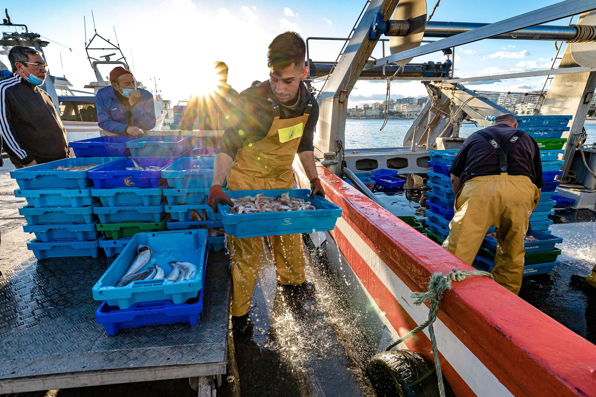 Pesca y Turismo en Villajoyosa