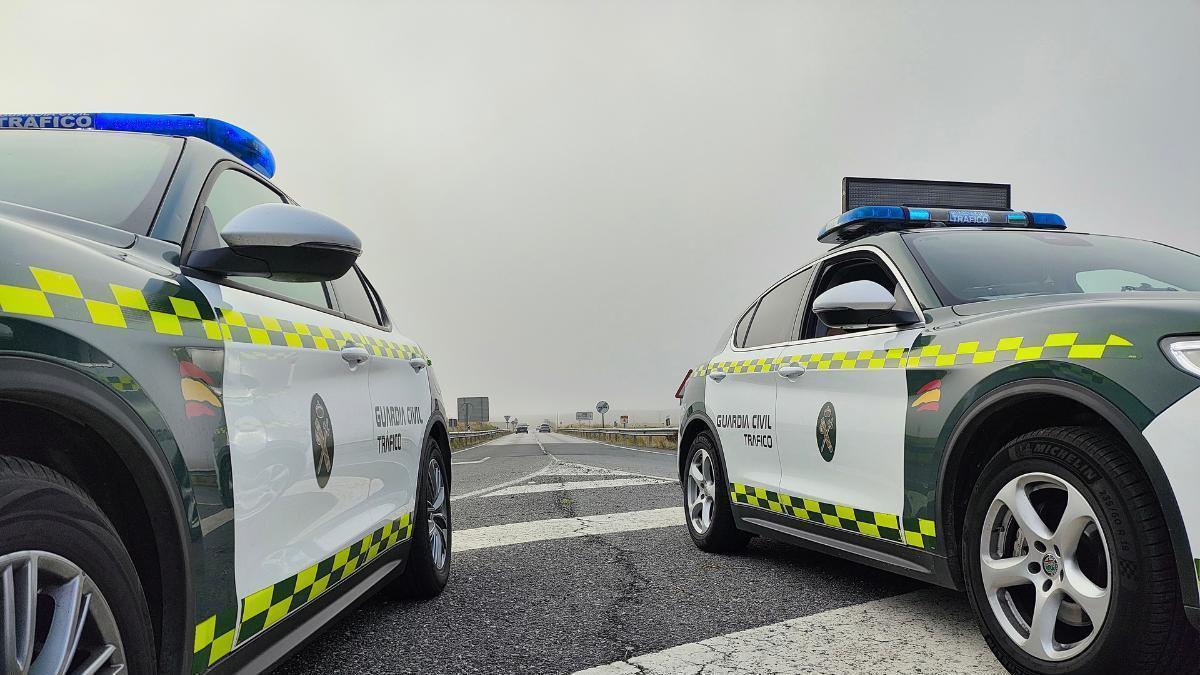 Multa de hasta 800 e inmovilización del vehículo por circular sin la nueva etiqueta identificativa con el número único asignado la Guardia Civil extrema los controles tras la nueva norma (1)