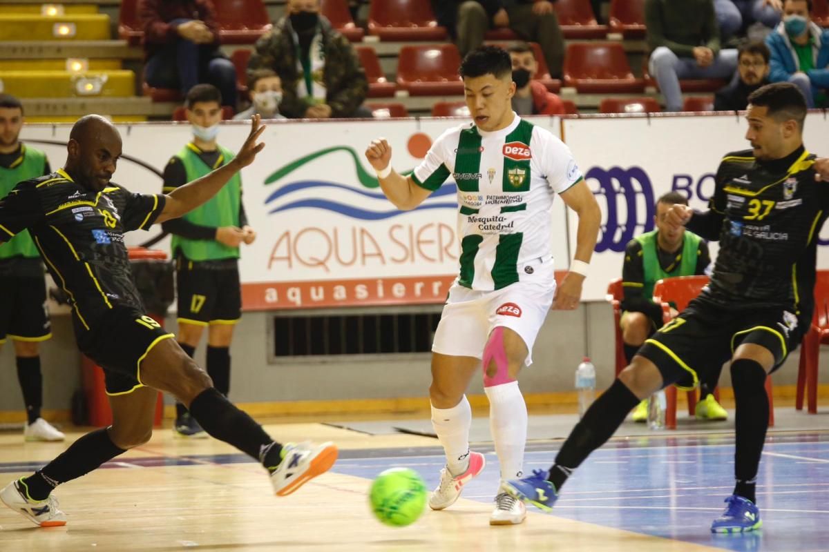 En imágenes el Córdoba Futsal Ferrol