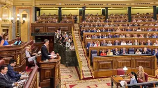 Los expertos detectan falta de concreciones y de fiscalización en el plan anticorrupción de Sánchez