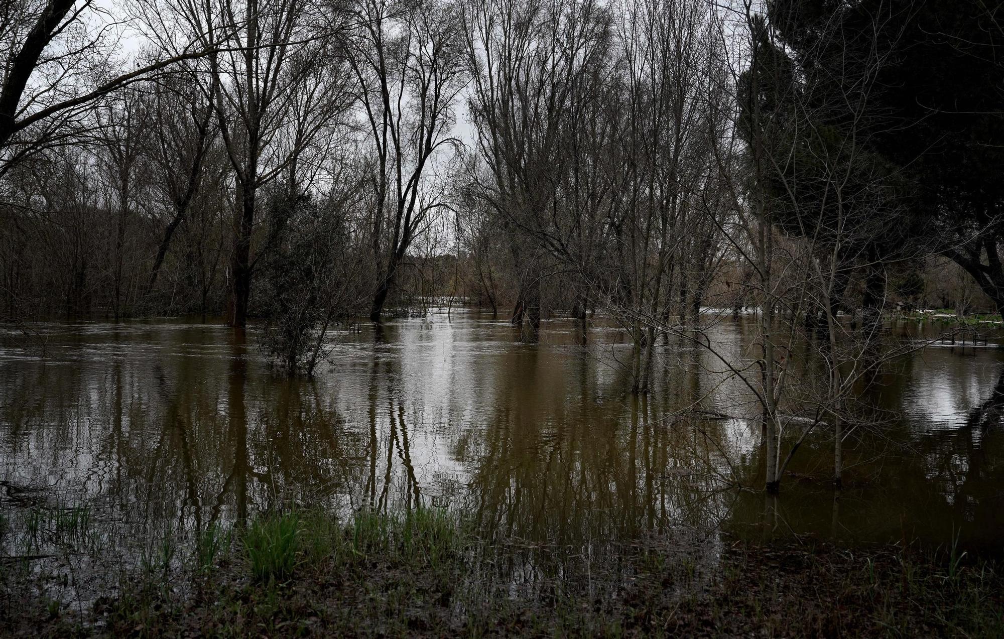 El Manzanares entra en nivel rojo por riesgo de inundaciones en Madrid.