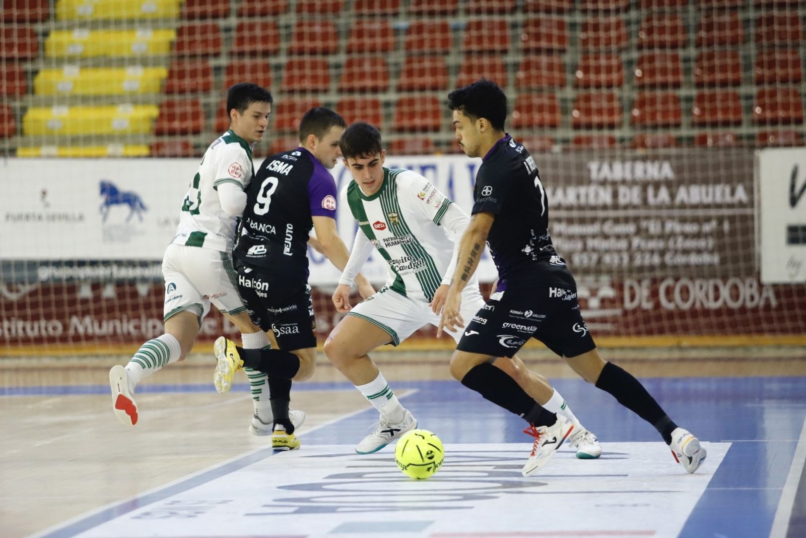 Córdoba Futsal-Burela | El partido en Vista Alegre, en imágenes