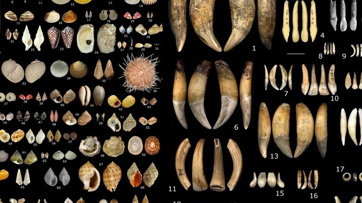 Conchas marinas, dientes, cuentas y otras baratijas utilizadas como adorno personal por diversas culturas en Europa hace entre 34.000 y 24.000 años.