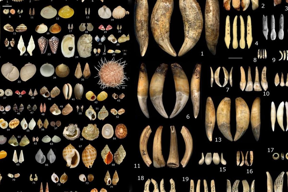 Conchas marinas, dientes, cuentas y otras baratijas utilizadas como adorno personal por diversas culturas en Europa hace entre 34.000 y 24.000 años.