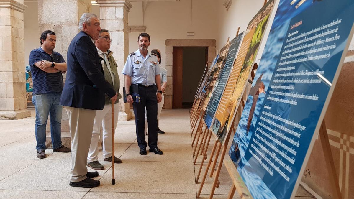 Visita a la exposición