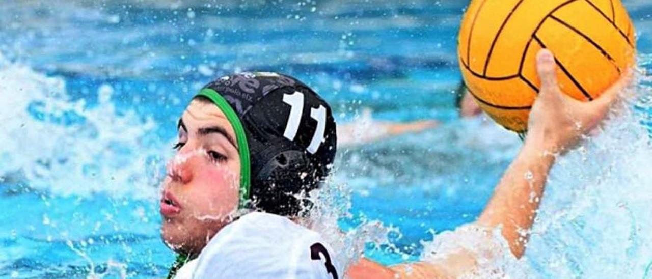 El waterpolo regresa al Esperanza Lag con el club ilicitano en Segunda. | ARSENIOWATERPOLO