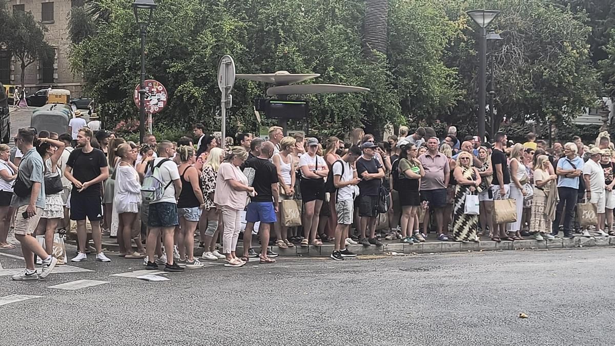 200 Menschen warteten auf den Bus an der Plaça de la Reina.