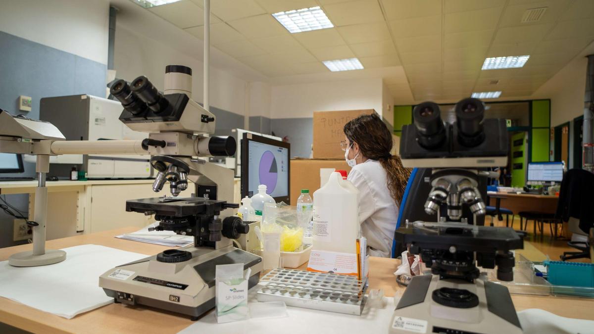 La historia de salud digital del SAS que se ensayó en Córdoba supera los cien millones de pruebas analíticas.