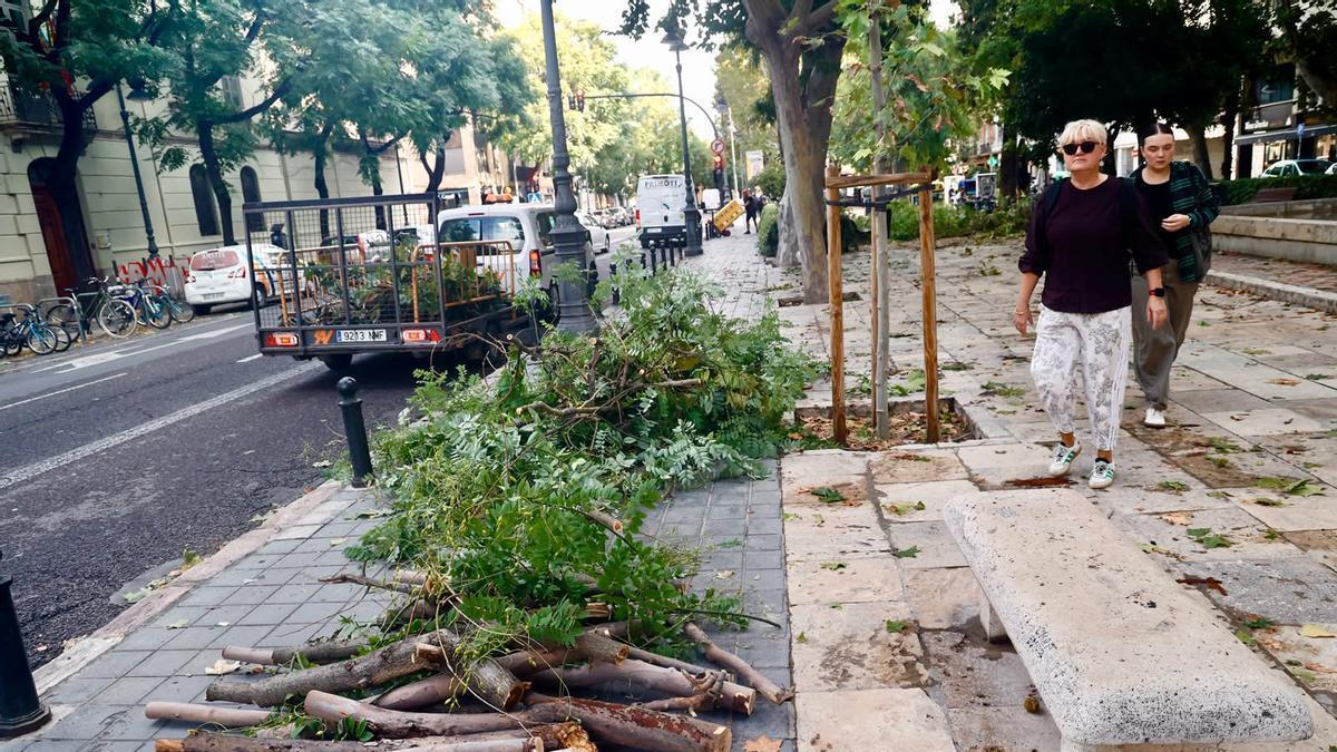DANA MEDITERRÁNEO | Un nuevo retraso del Es-alert reaviva las críticas por la gestión política de las emergencias