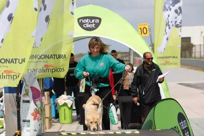 Una veintena de perros participan en el II Campeonato Europeo de Surf en la playa de Salinas