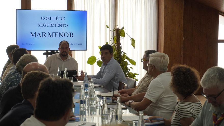 El nuevo Comité del Mar Menor se estrena pidiendo un informe sobre su estado crítico