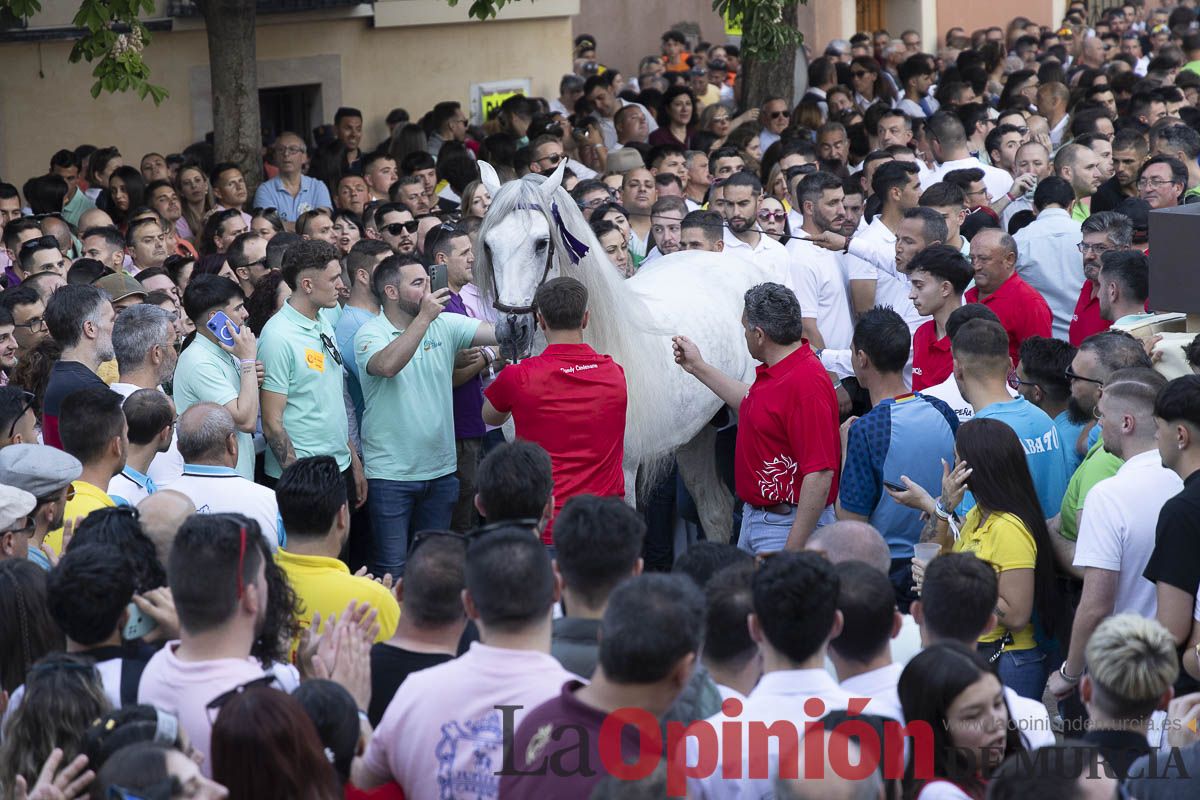 Fiestas de Caravaca | Entrega de premios del concurso morfológico