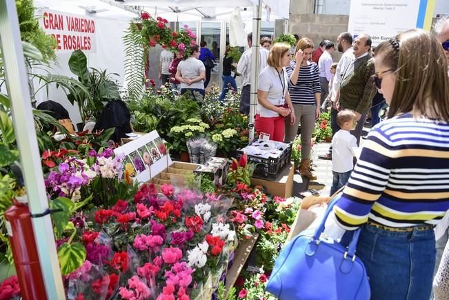 Ultimo dia de la Feria Enorte, Feria Empresarial ...