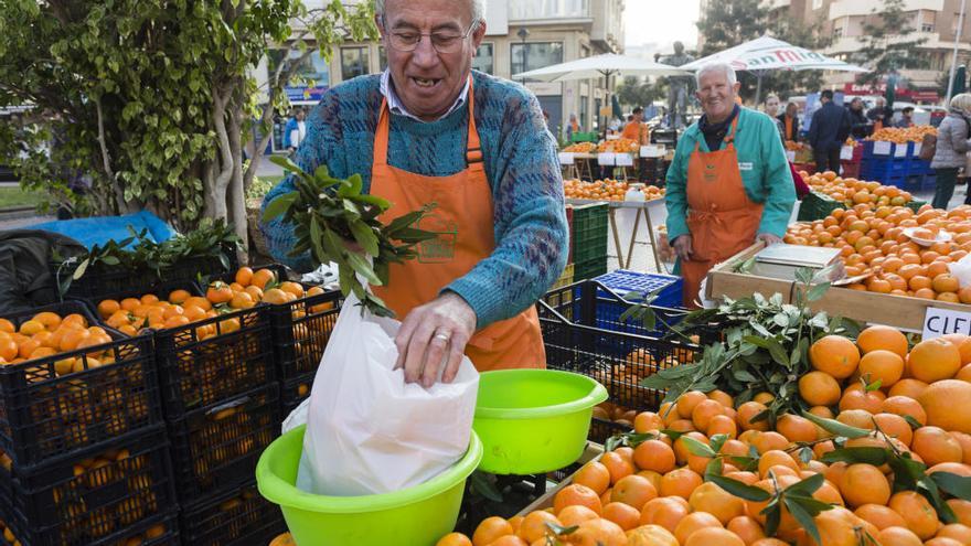 Castelló promociona la citricultura local con una jornada sobre sus retos