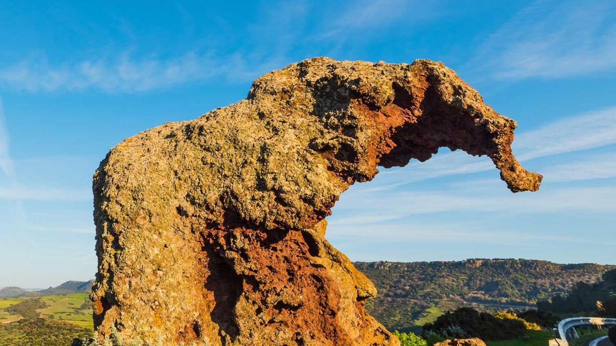 Elefante roca, Sardinia, Italia