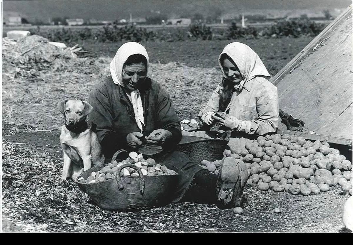 Mujeres preparando para sembrar patatas.